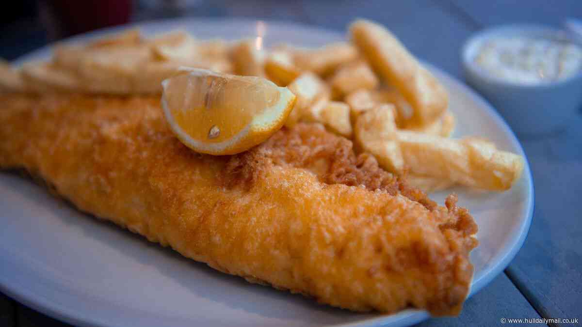 Hull fish and chip shop celebrates after being named best chippy in the region