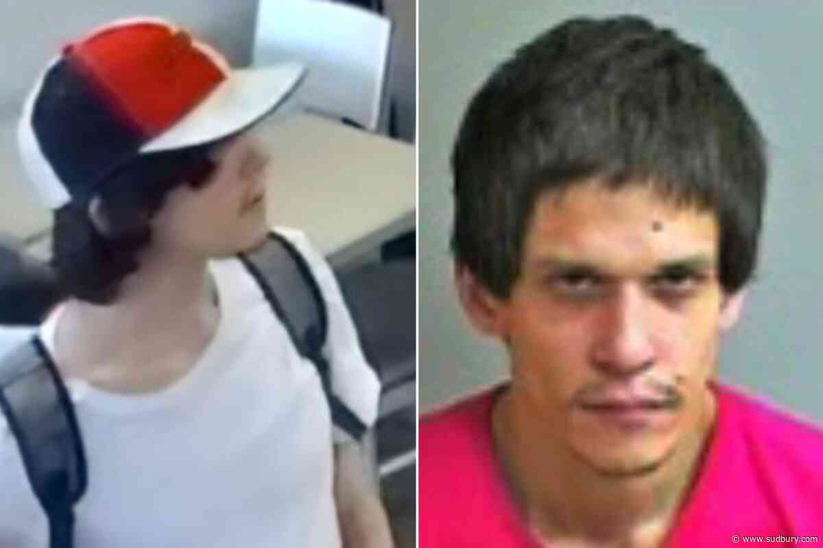 Police seek public’s help in locating suspected Cedar Street stabber
