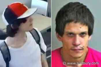 Police seek public’s help in locating suspected Cedar Street stabber