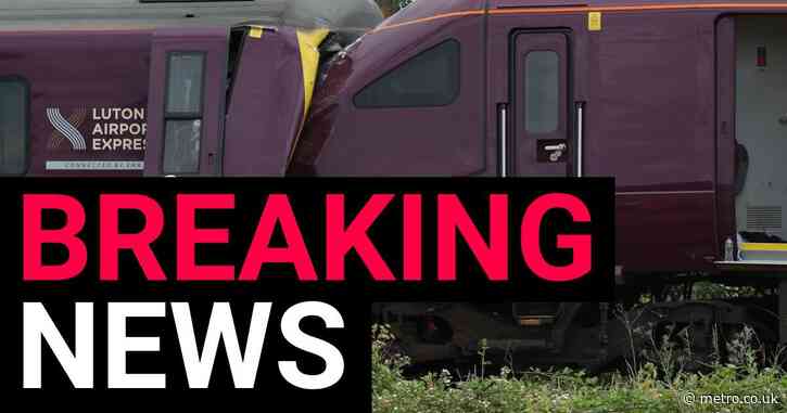 Train driver killed in Bedford crash ‘passed red signal moments before collision’