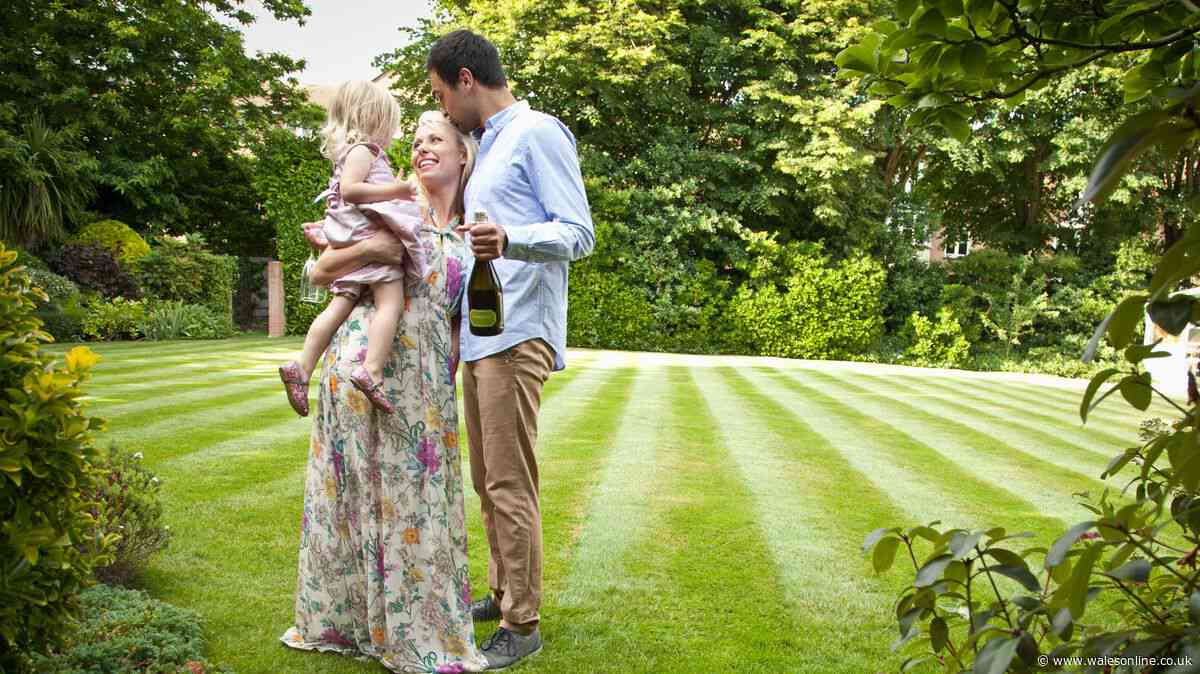 'Super lightweight and quiet' strimmer makes gardening 'a breeze' and just £42