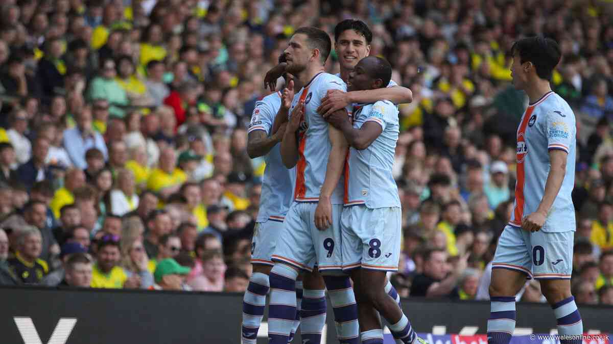 New European side show interest in Swansea City star Zan Vipotnik
