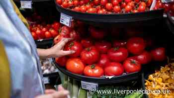 Warning issued to UK households who buy tomatoes at the supermarket