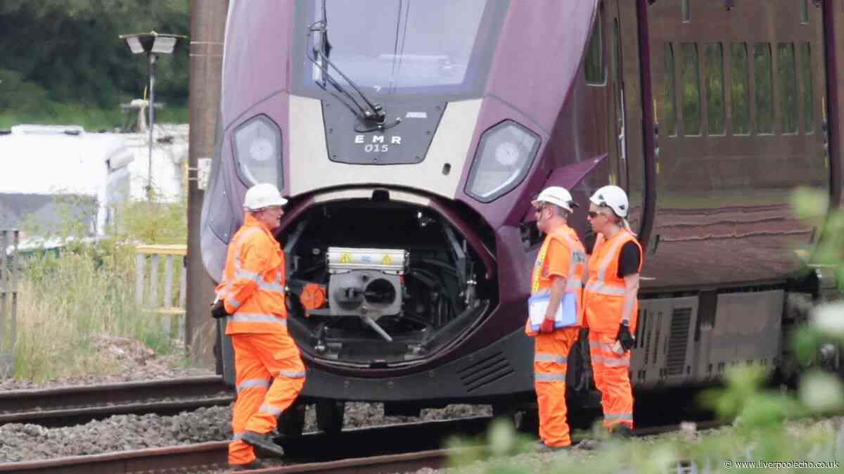 Bedford train crash driver 'passed red signal' before fatal collision, report finds