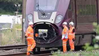 Bedford train crash driver 'passed red signal' before fatal collision, report finds