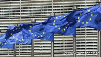 Digital Omnibus: Cookies: EU-Mitgliedstaaten lehnen Browser-Voreinstellung offenbar ab