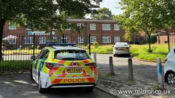 Police cordon off huge area after girl, 16, raped near busy road in Harpurhey