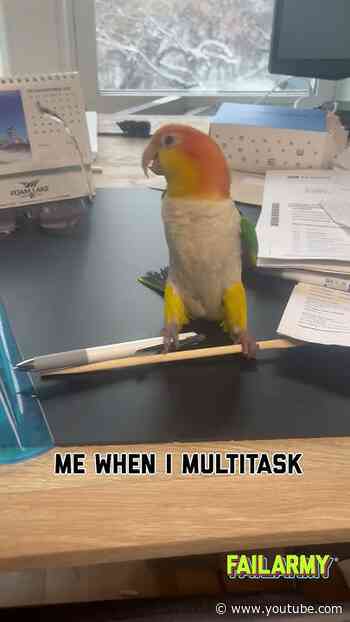 What we have here is an illustration of the ADHD brain #mondaymotivation #adhd #multitasking #birds