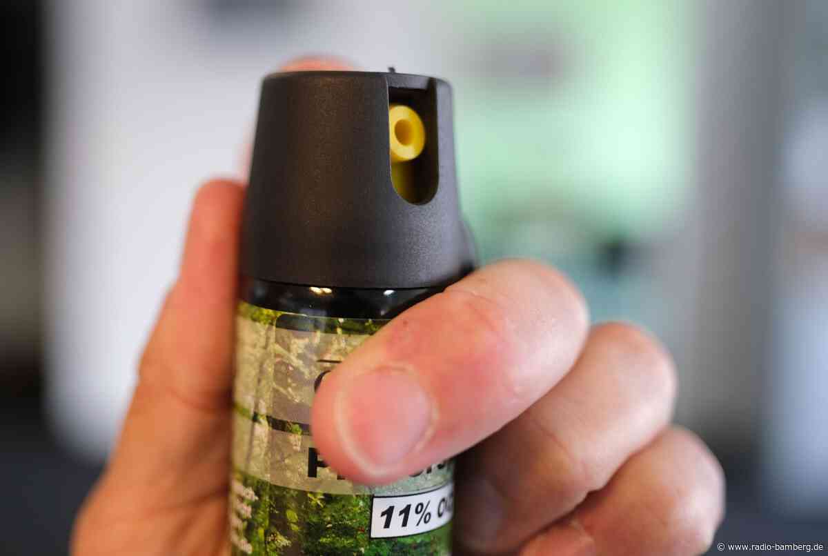 Ärger wegen Wasserpistole in Bus endet in Pfefferspray-Wolke
