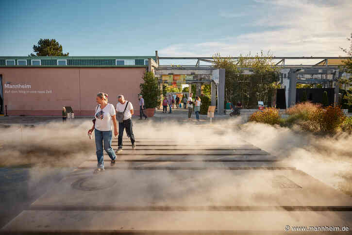Grünes Licht für U-Halle