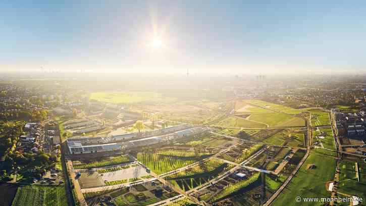 Mannheim kommt beim Klimaschutz voran