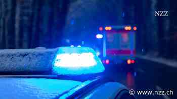 KURZMELDUNGEN - Deutschland: Ermittlungen gegen Mutter nach Fund von Babyleiche +++ Razzien wegen Sabotage-Verdachts an Gasversorgung
