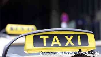 Gemeinderat lehnt Robotertaxi-Projekt ab
