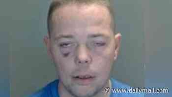Career criminal jailed for third time in 18 months tells court he is suing police after he was knocked off his bike by an officer in a patrol car who tried to stop him