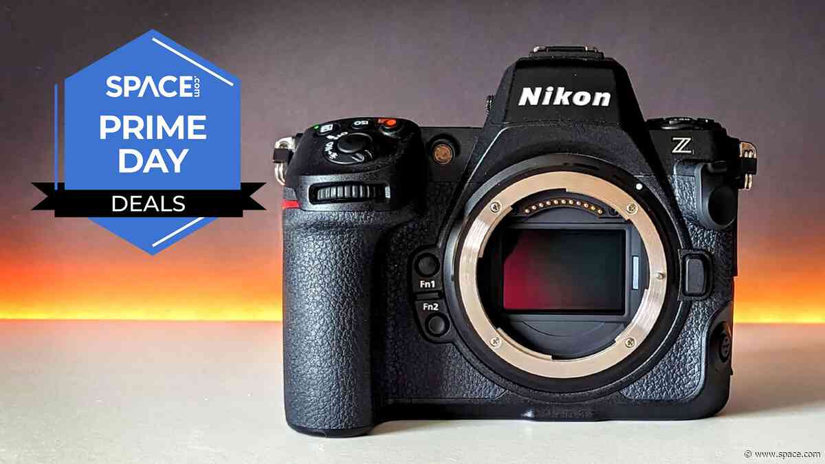 “Seeing this Nikon Z8 deal is painful — especially since I bought mine at full price!” Our Senior Manager took the hit so you don’t have to!
