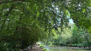 The Greater Manchester canal walk with pubs along the way perfect for a balmy evening