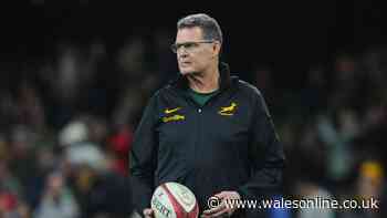 Rassie Erasmus starts England mind games and All Black switches allegiances