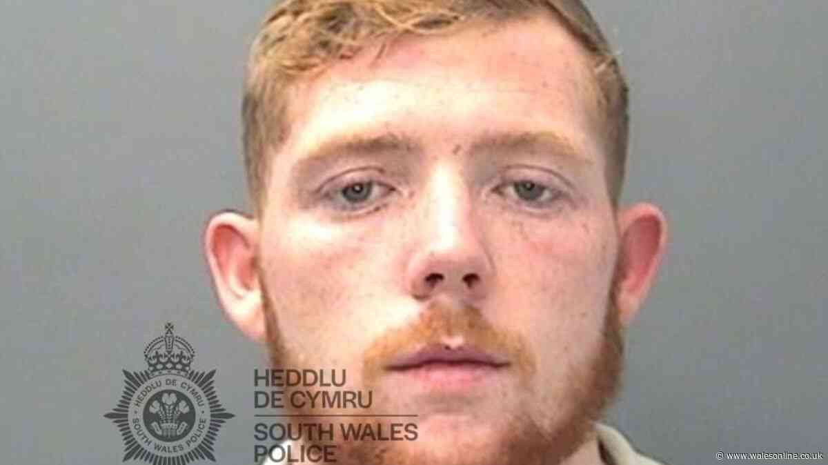 Dad-of-four who turned to burglary said he was desperate for money before Christmas