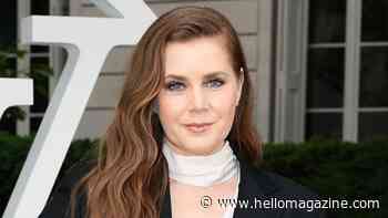 Amy Adams saves 'dying' man's life after he's stabbed in the neck