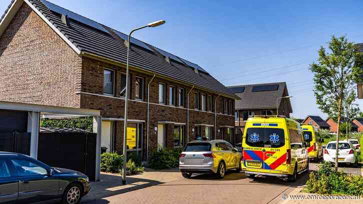 Kind naar ziekenhuis na val in water in Oss