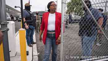 Pregnant Democrat, 40, facing federal assault charges appears in court with desperate plea