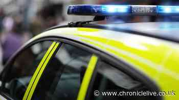 Seven women and one man arrested after police raid three massage parlours in the North East
