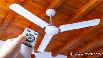 The Ceiling Fan Setting That Lowers Your Energy Bill Without Touching the Thermostat