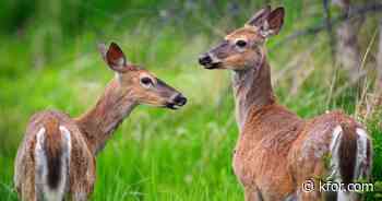 Immediate changes approved by Wildlife Commission