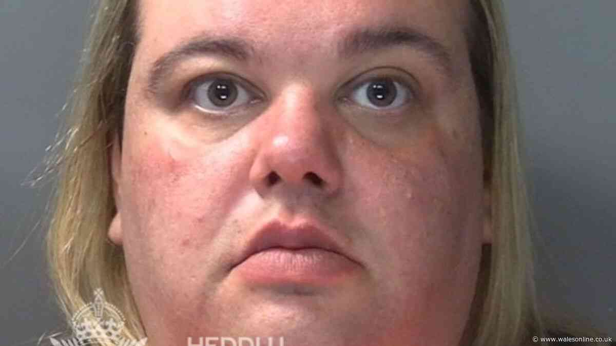 She desperately tried blaming her ex once police discovered what she was up to