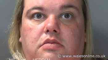 She desperately tried blaming her ex once police discovered what she was up to
