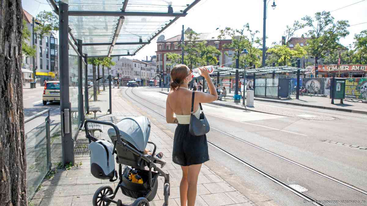 Grüneres Augsburg? Mehr Bäume haben mit Klimaschutz nichts zu tun
