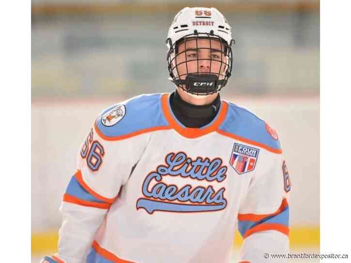 Brantford Bulldogs sign Aiden Kelly