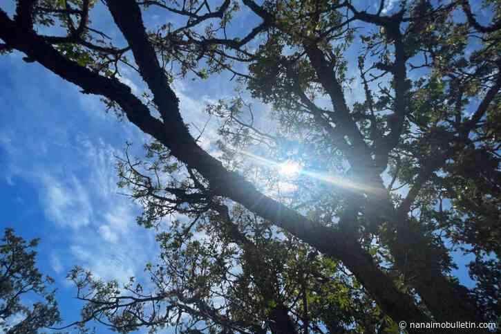 Victoria breaks 2nd consecutive daily temperature record, rain on the way