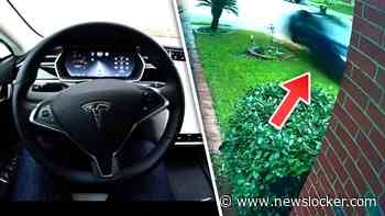 Tesla reageert op dodelijke horrorcrash: 'Gaspedaal was volledig ingetrapt'
