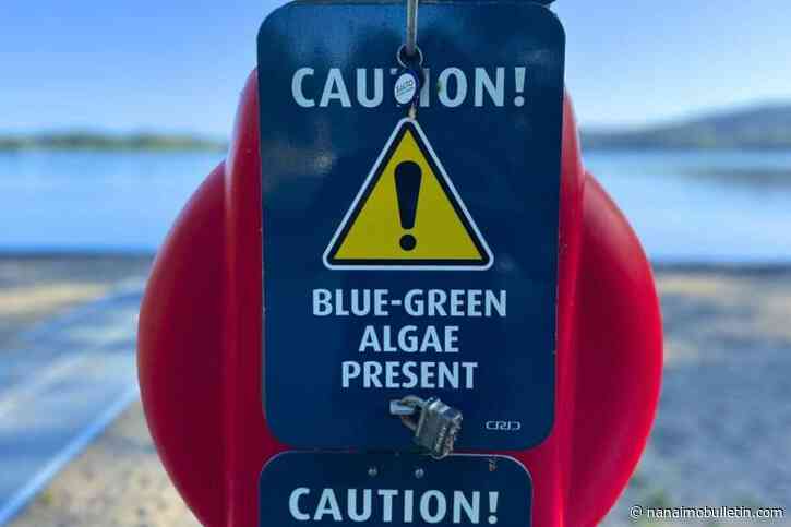 CRD issues blue-green algae alert for popular Greater Victoria swimming lake