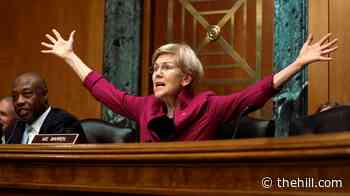 Elizabeth Warren reacts live to Trump saying he won't sign housing bill
