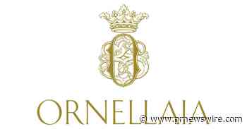 ORNELLAIA VENDEMMIA D'ARTISTA: THE CHARITY AUCTION RAISES 300,000 DOLLARS, WHICH WILL BE DONATED TO SUPPORT THE SOLOMON R. GUGGENHEIM FOUNDATION