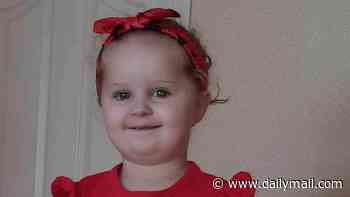 Little girl, 3, killed by LICE after parents let infestation get so bad that it left her anemic