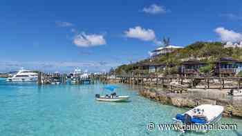 American boy, 12, attacked by shark at luxury Caribbean resort