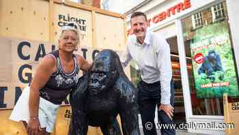 Gorilla's in our midst! Londoners welcome Caesar the ape after council killjoys said Wakefield woman couldn't keep it on her home