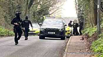 Boy, 16, accused of attempted murder of girl following stabbing at secondary school admits possession of knife