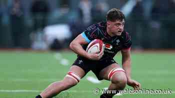 Wales have a new bolter cut from sporting pedigree with big ambitions