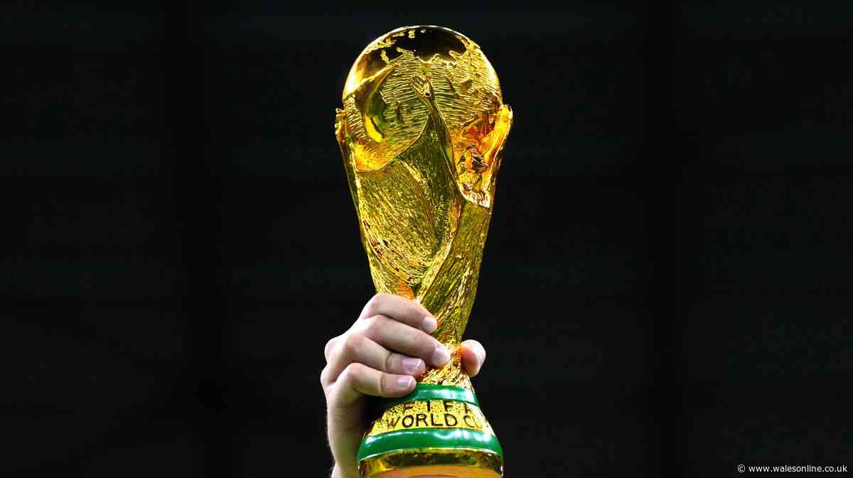 World Cup third-place group finishers rules explained including full table details