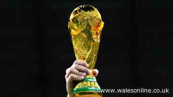 World Cup third-place group finishers rules explained including full table details