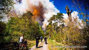 LIVE | Brandweer slaat alarm: verhoogd risico op natuurbrand in bijna heel Nederland