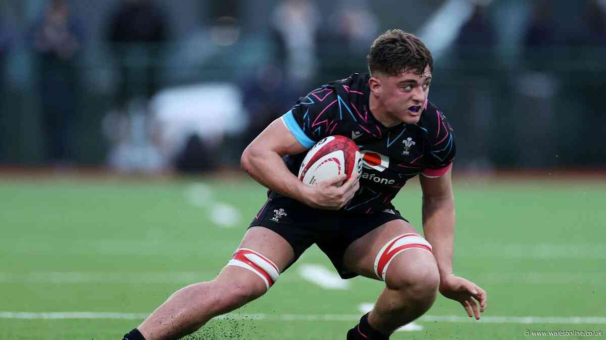 Wales have a new bolter cut from sporting pedigree with big ambitions