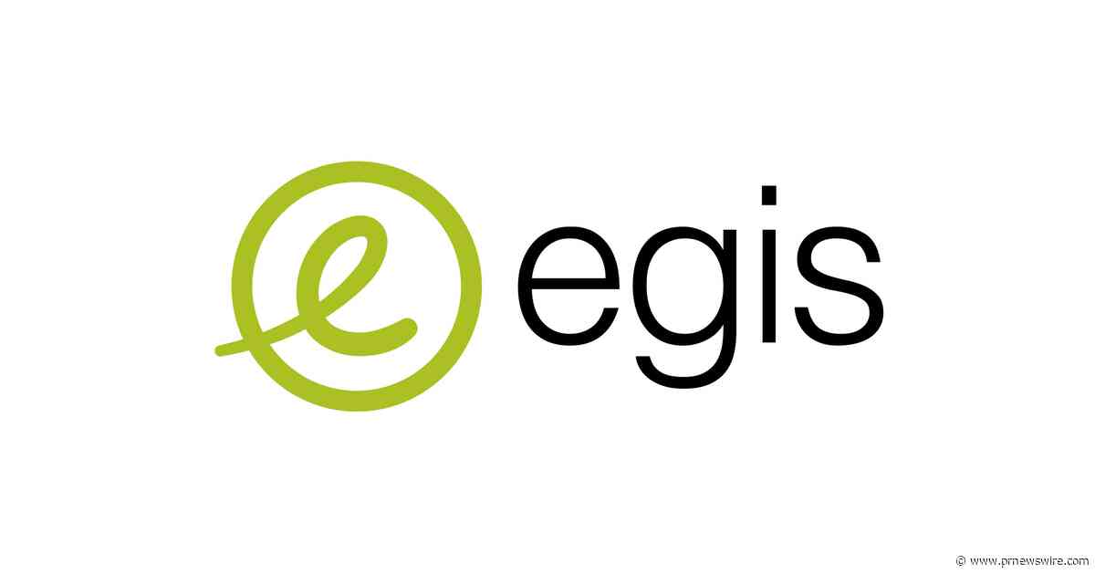 Egis Appoints Mike Arellano as U.S. South Central Regional Manager