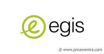 Egis Appoints Mike Arellano as U.S. South Central Regional Manager