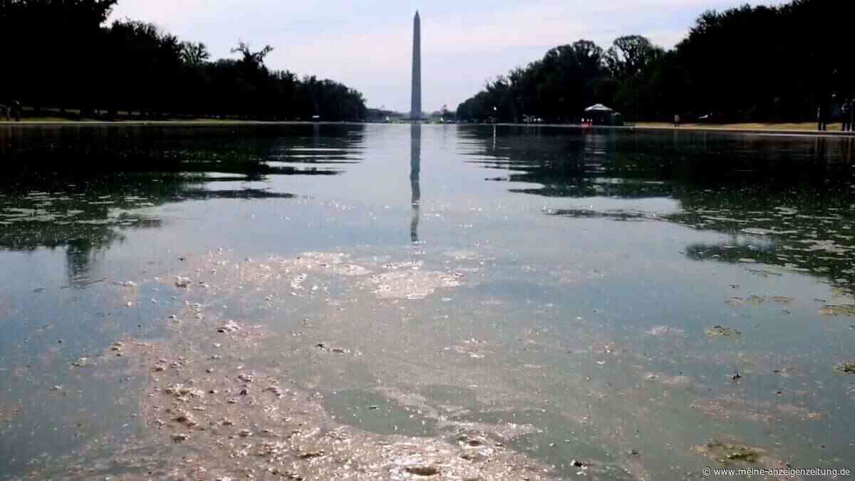 „Kranke, verwirrte Menschen!“: Trump rüstet US-Denkmal nach peinlicher Pool-Panne auf