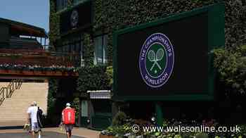 Top Wimbledon stars to take drastic action as BBC nightmare confirmed